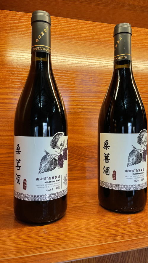 南流灣桑葚酒新品發(fā)布暨招商會(huì)圓滿成功，共釀健康生活新滋味