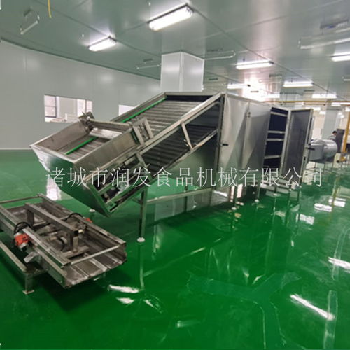 專(zhuān)業(yè)制造，全程服務(wù)——諸城潤(rùn)發(fā)食品機(jī)械為您打造高效荷葉茶成套加工設(shè)備