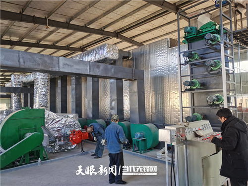 施秉 萬(wàn)畝魔芋產(chǎn)業(yè)升級(jí)，深加工與紡紗雙輪驅(qū)動(dòng)